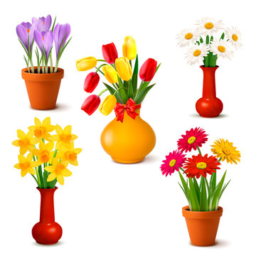 Spring and summer colorful flowers in vases  Vector