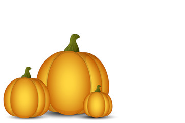 Vector Pumpkins on White Background