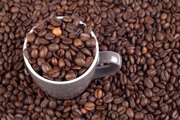 Coffee Bean Background with cup
