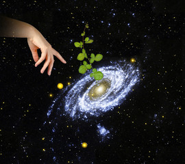 Plant at center of galaxy.Elements of this image furnished by NA