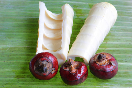 Bamboo Shoots & Water Chestnuts