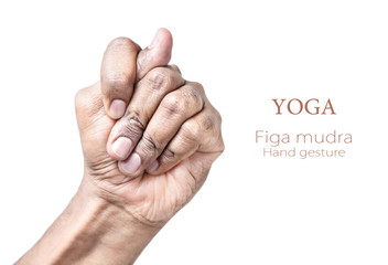 Yoga Figa mudra - obrazy, fototapety, plakaty