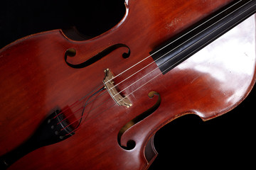 Fototapeta premium Contrabass in front of black background