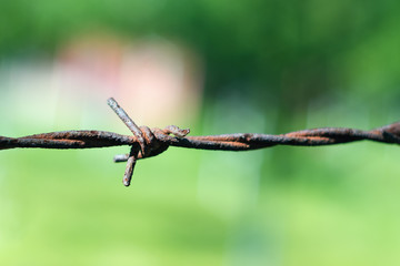 Rusty barbed wire