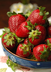 Fragole - Strawberries