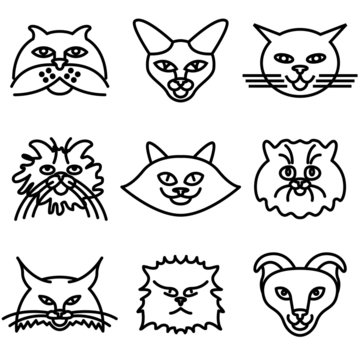 cat faces icons vector set