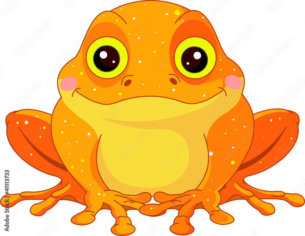 Poster fun zoo. golden toad