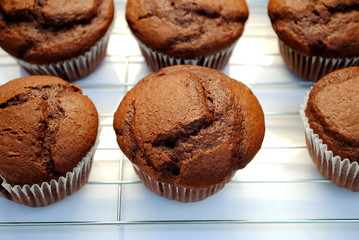 Fresh Chocolate Cupcakes