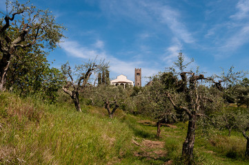 Santo Stefano - Pieve Lucca