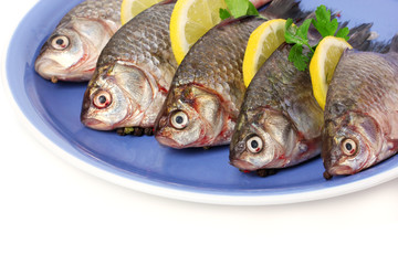 Fresh fishes with lemon and parsley on plate isolated on white