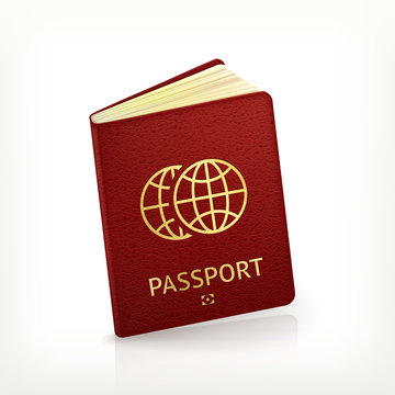 Passport, vector
