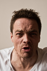 Fototapeta premium Hargneux