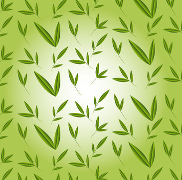 bamboo leaves © Gstudio