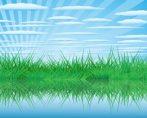 Fototapeta premium Summer Landscape