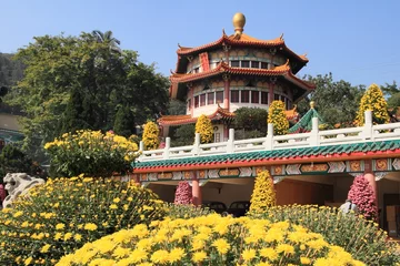 Foto op Plexiglas Chinese garden of Yuen Yuen Institute temple © mary416