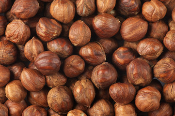Hazelnuts close-up