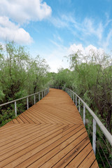 Fototapeta premium footpath