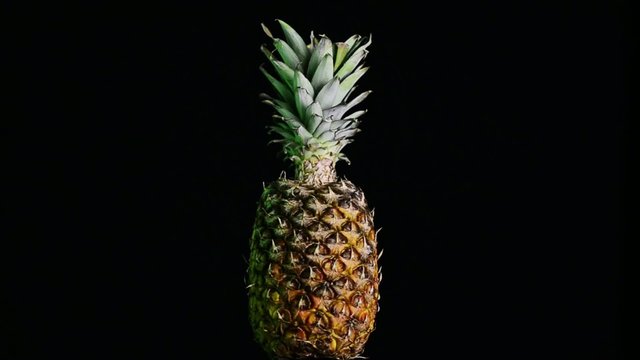 Big pineapple turning on itself