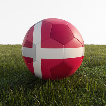 denmark soccer ball isolated on grass