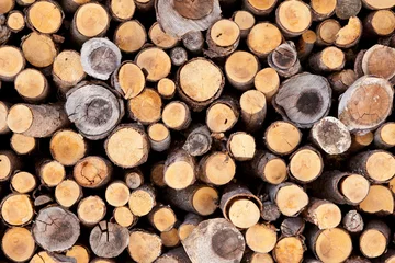 Möbelaufkleber Holzstapel © outdoorpixel