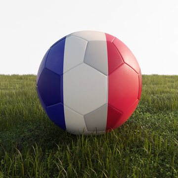 france soccer ball isolated on grass