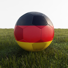 german soccer ball isolated on grass