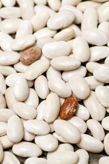 white beans background