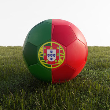 portugal soccer ball isolated on grass