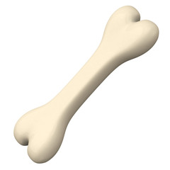Bone icon 3d