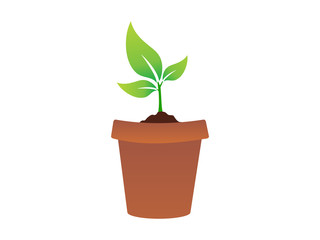 abstract plant icon