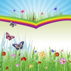 Photo sur Plexiglas Papillon Fond de printemps