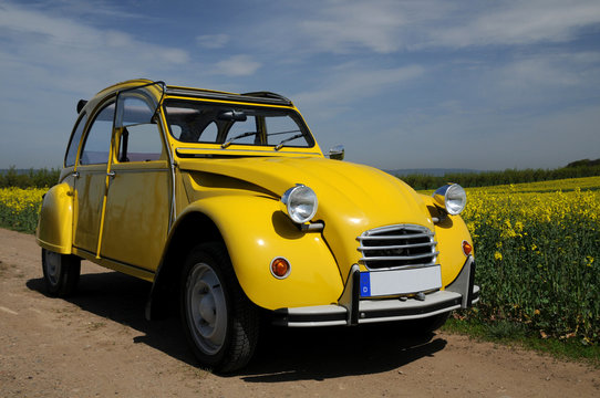 Ente fahren