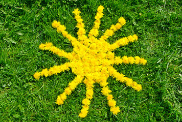 Sonnensymbol aus Blüten auf grüner Wiese