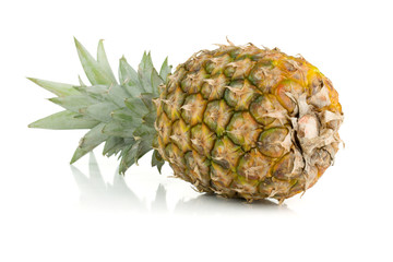 Fresh juicy pineapple