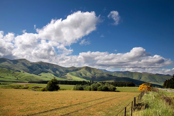 Farmland bei Mossburn in Neuseeland