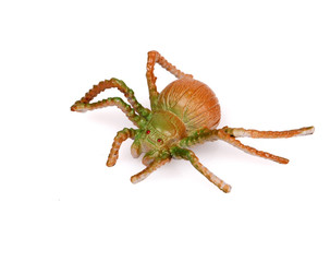 Colorful Plastic Toy Spiders on White Background