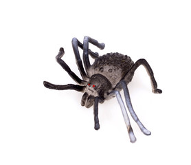Colorful Plastic Toy Spiders on White Background