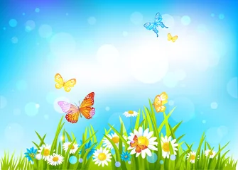 Crédence de cuisine en verre imprimé Papillon Fond de journée ensoleillée avec des fleurs
