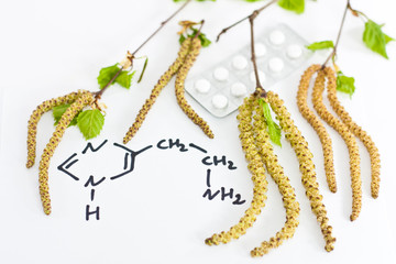 Heuschnupfen, Allergic rhinitis