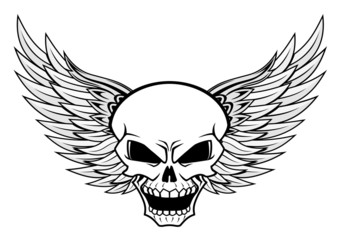 Skull with wings