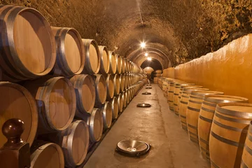 Photo sur Aluminium Bar Bodega en la Ribera del Duero