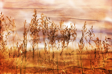 Obraz premium Nature Background