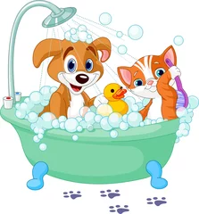 Deurstickers Katten Hond en kat in bad