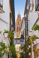 Flowers street at Cordoba Spain