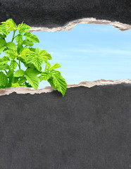 Go green