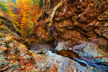 Mountain pass and creek