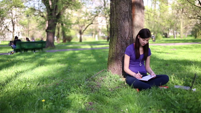 Female student doing homework with laptop in the park