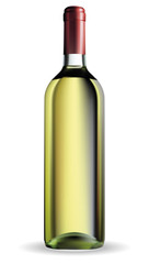 Wine bottle