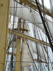 Obraz premium Segelschiff