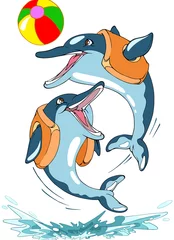 Poster Dolfijnen © Verzh